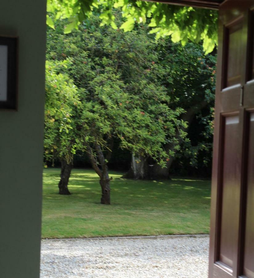 Bed and Breakfast Hope Orchard Golden Valley Exterior foto
