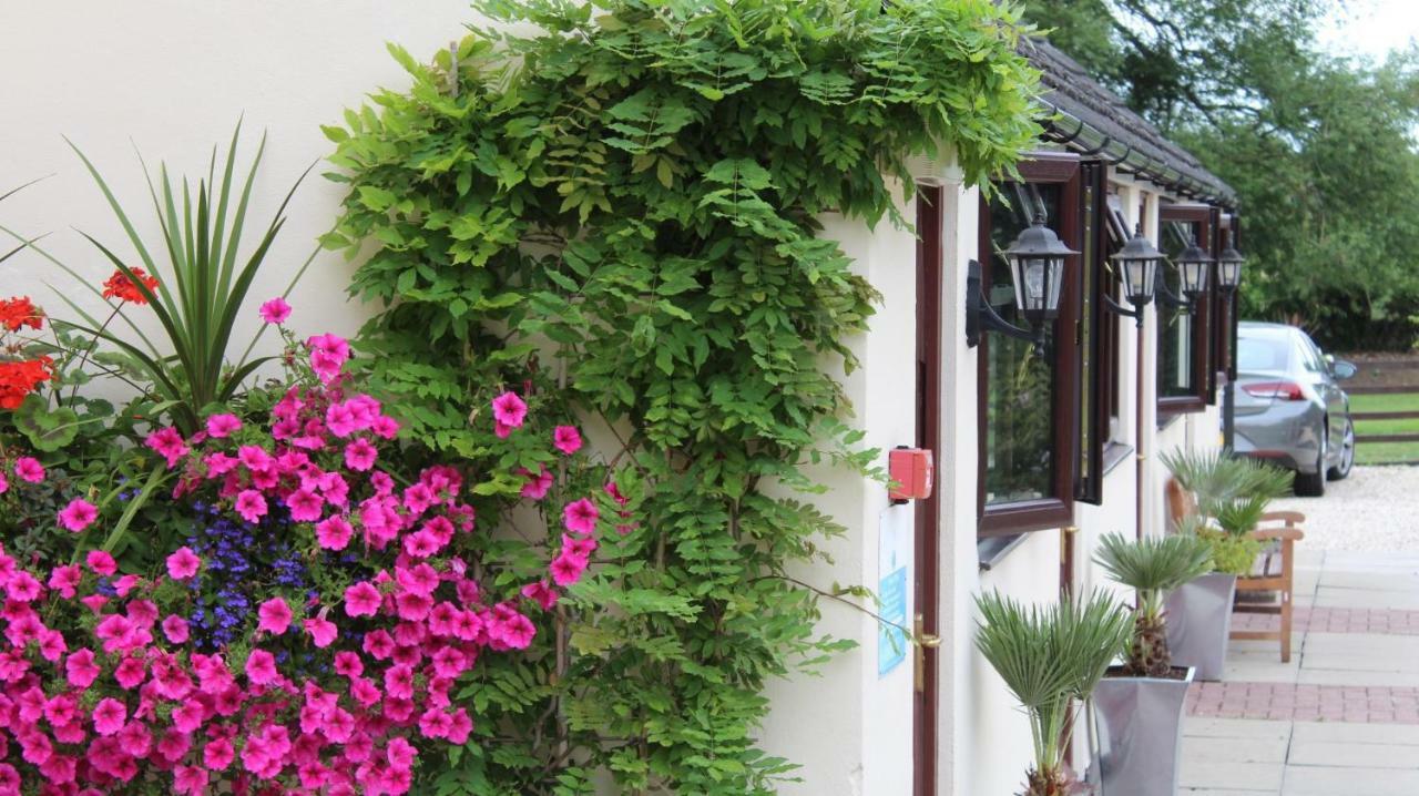Bed and Breakfast Hope Orchard Golden Valley Exterior foto